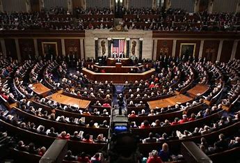 The Role of Congress