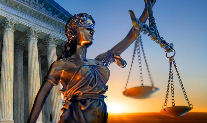 The Role of the Federal Courts