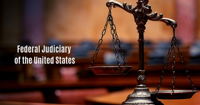 The Role of the Federal Judiciary