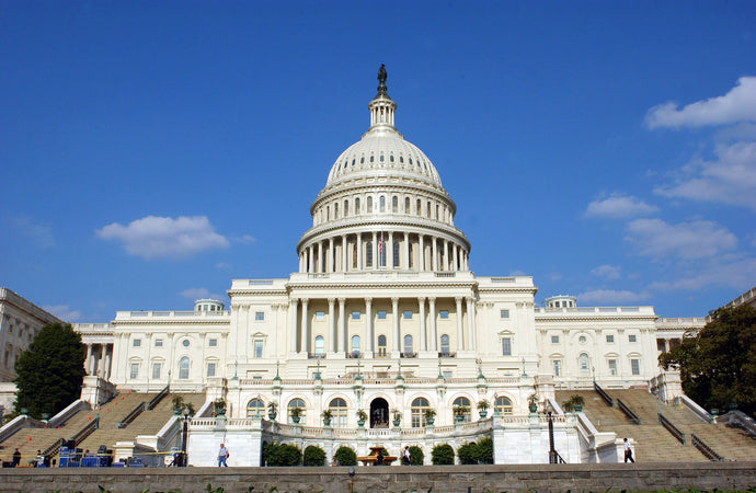 How to Bring Washington, D.C. Back Under Control